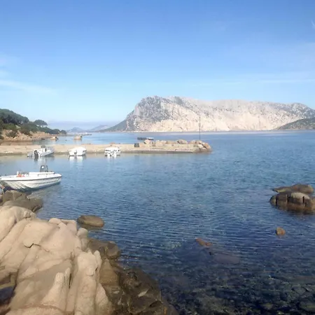 Farfalle Giardino E Favolosa Vista Mare
