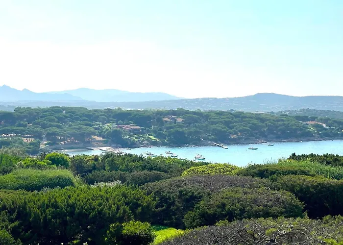Farfalle Giardino E Favolosa Vista Mare Capo Coda Cavallo