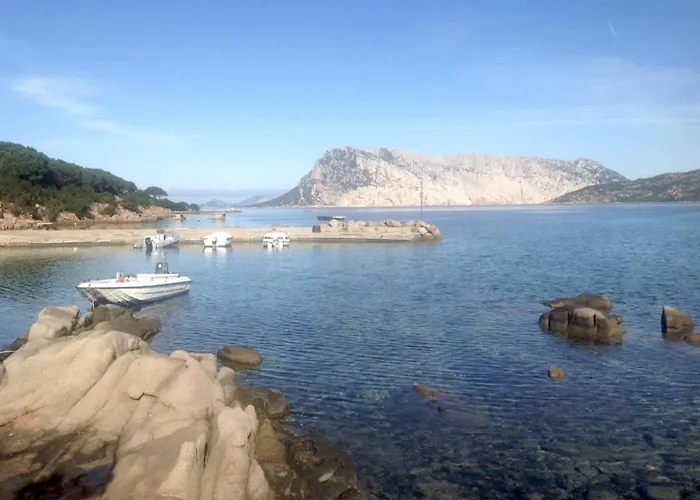 Farfalle Giardino E Favolosa Vista Mare