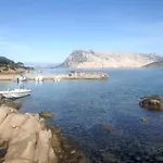 Farfalle Giardino E Favolosa Vista Mare