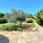 Farfalle Giardino E Favolosa Vista Mare