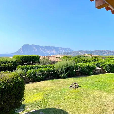 Farfalle Giardino E Favolosa Vista Mare