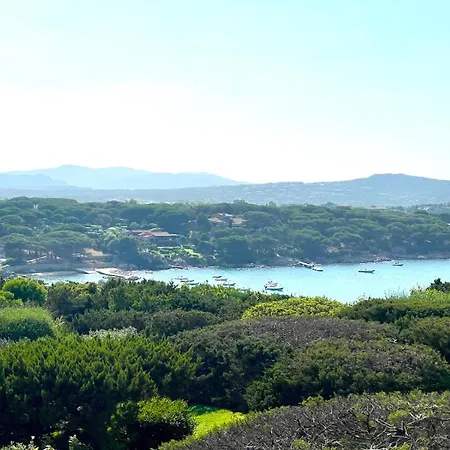 Farfalle Giardino E Favolosa Vista Mare Capo Coda Cavallo
