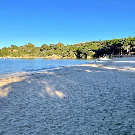 Farfalle Giardino E Favolosa Vista Mare Capo Coda Cavallo