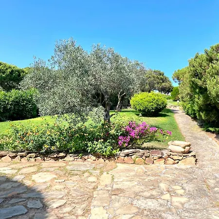 Farfalle Giardino E Favolosa Vista Mare
