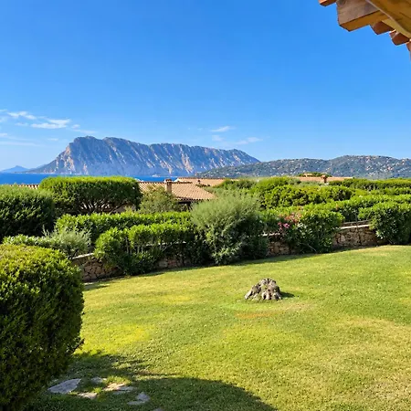 Farfalle Giardino E Favolosa Vista Mare Capo Coda Cavallo