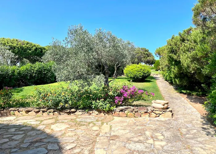 Farfalle Giardino E Favolosa Vista Mare